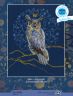 М785 Набор для вышивания РТО "Королевский филин"