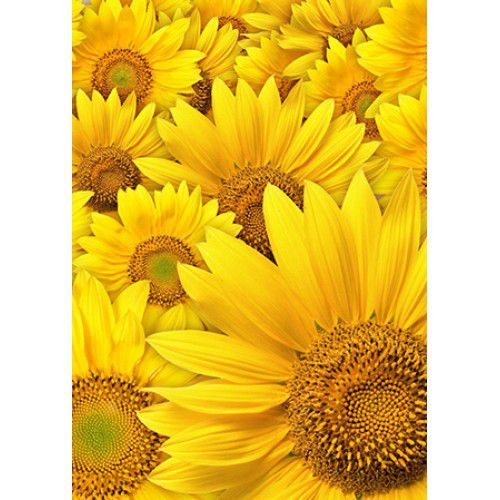 Алмазная мозаика Гранни "Желтые цветы" Ag4622