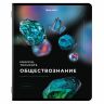 Тетради предметные, КОМПЛЕКТ 12 ПРЕДМЕТОВ, "MAGICAL", 48 л., глянцевый УФ-лак, BRAUBERG, 404610