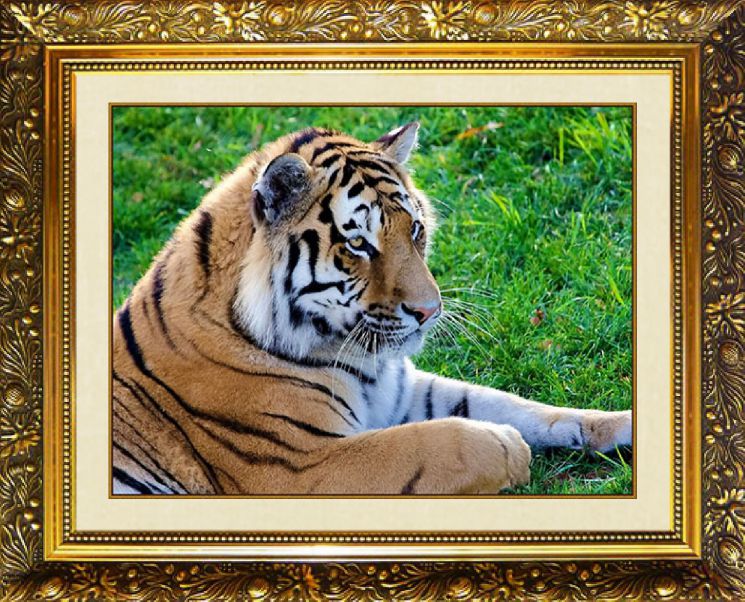  Алмазная мозаика МИЛАТО "Тигр на лужайке" N-323