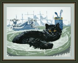 647 Черный кот (Овен)