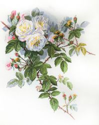 06.002.45 Набор для вышивания Марья Искусница "Белые розы" по рисунку П. де Лонгпре