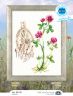 М776 Набор для вышивания РТО "Цветущие травы"