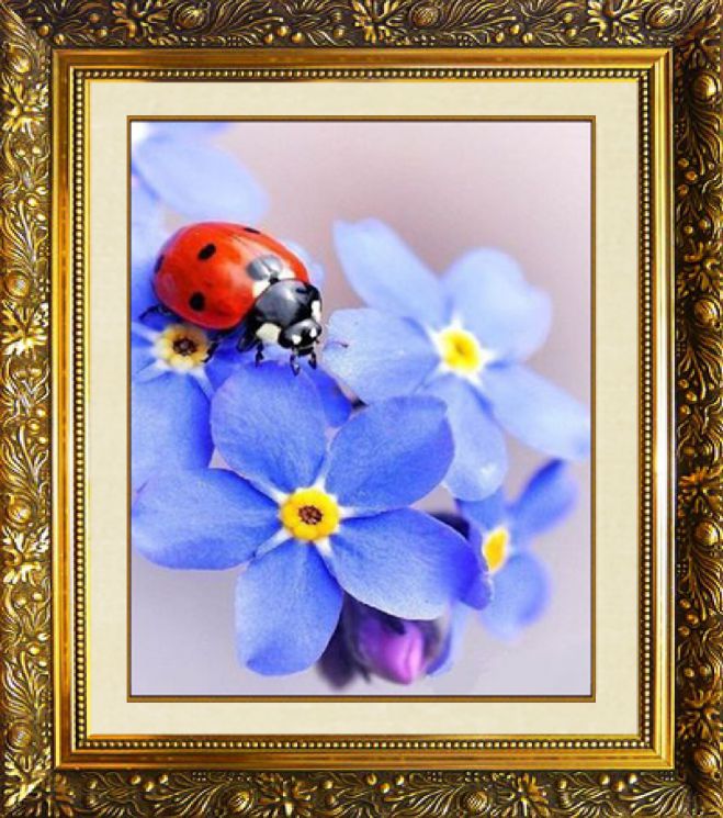 Алмазная мозаика Милато "Незабудки" N-351